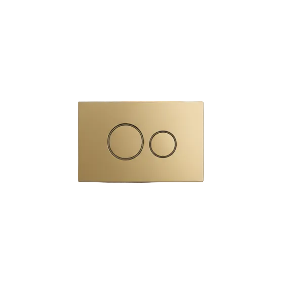 Circular Dual Flush Plate Brushed brass Gold