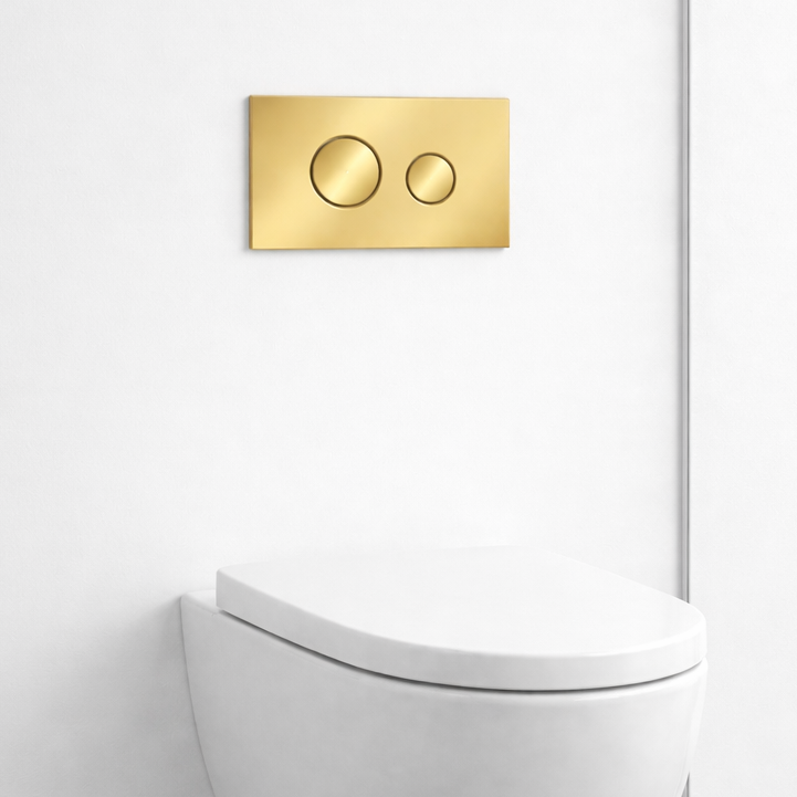 Circular Dual Flush Plate Brushed brass Gold