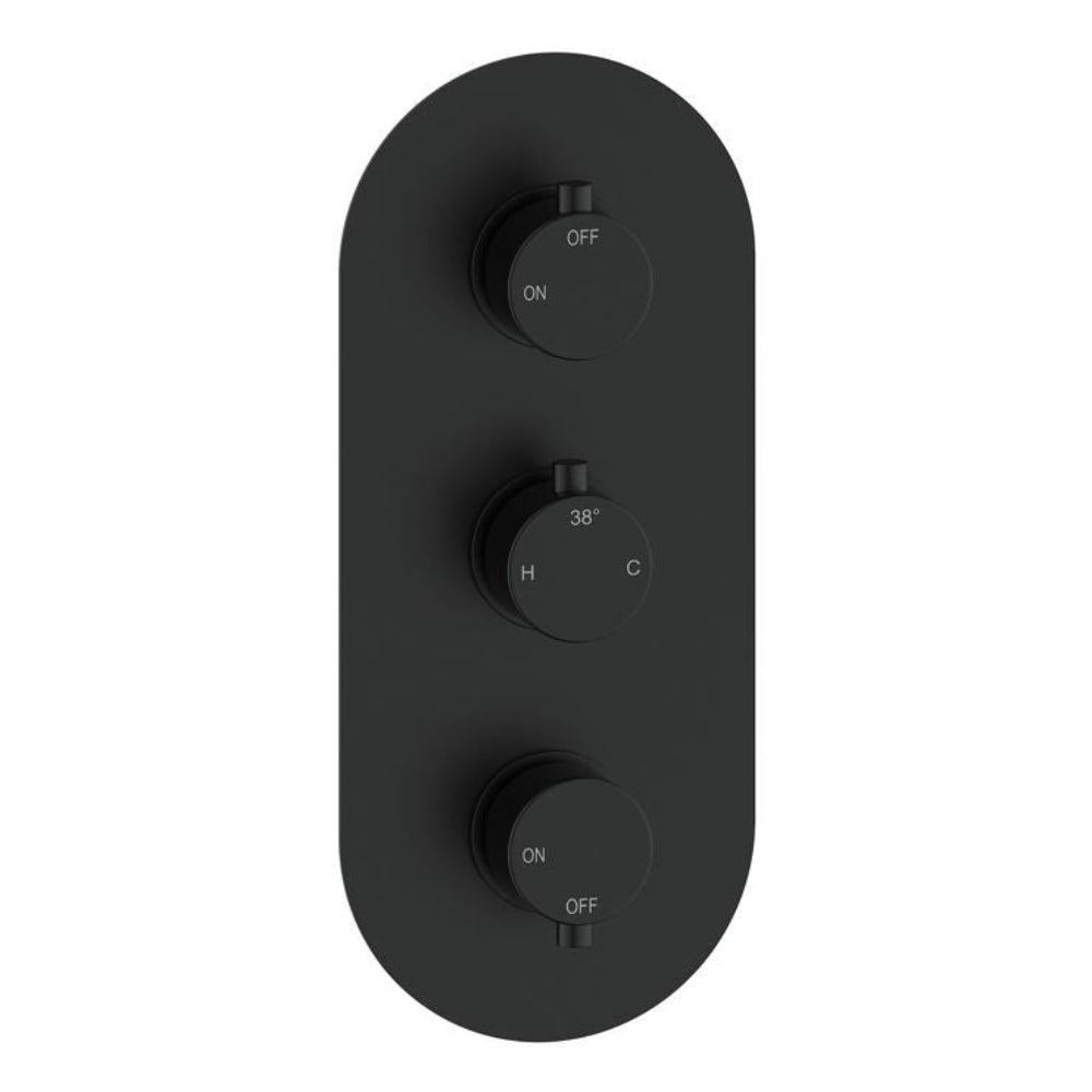 Two Outlet Thermostatic Shower Pack - 3 valve control - hand rail