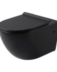 Cistern and black wall hung toilet set