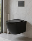 Cistern and black wall hung toilet set