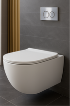 Cistern and White Wall Hung Toilet Set