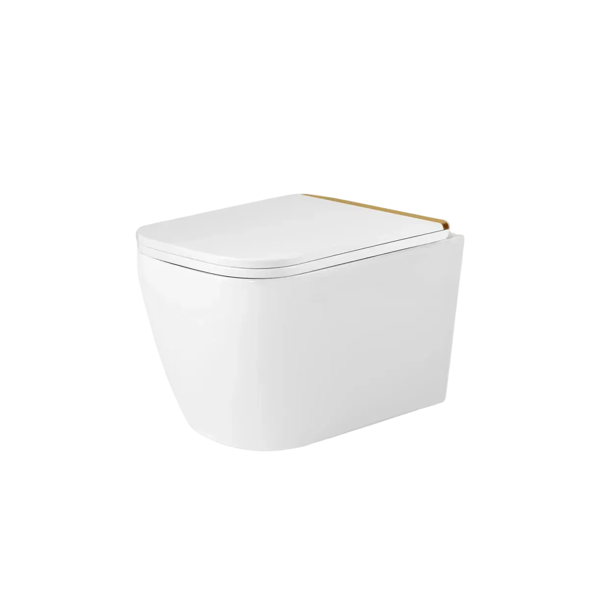 savoy white wall hung rimless toilet gold accent