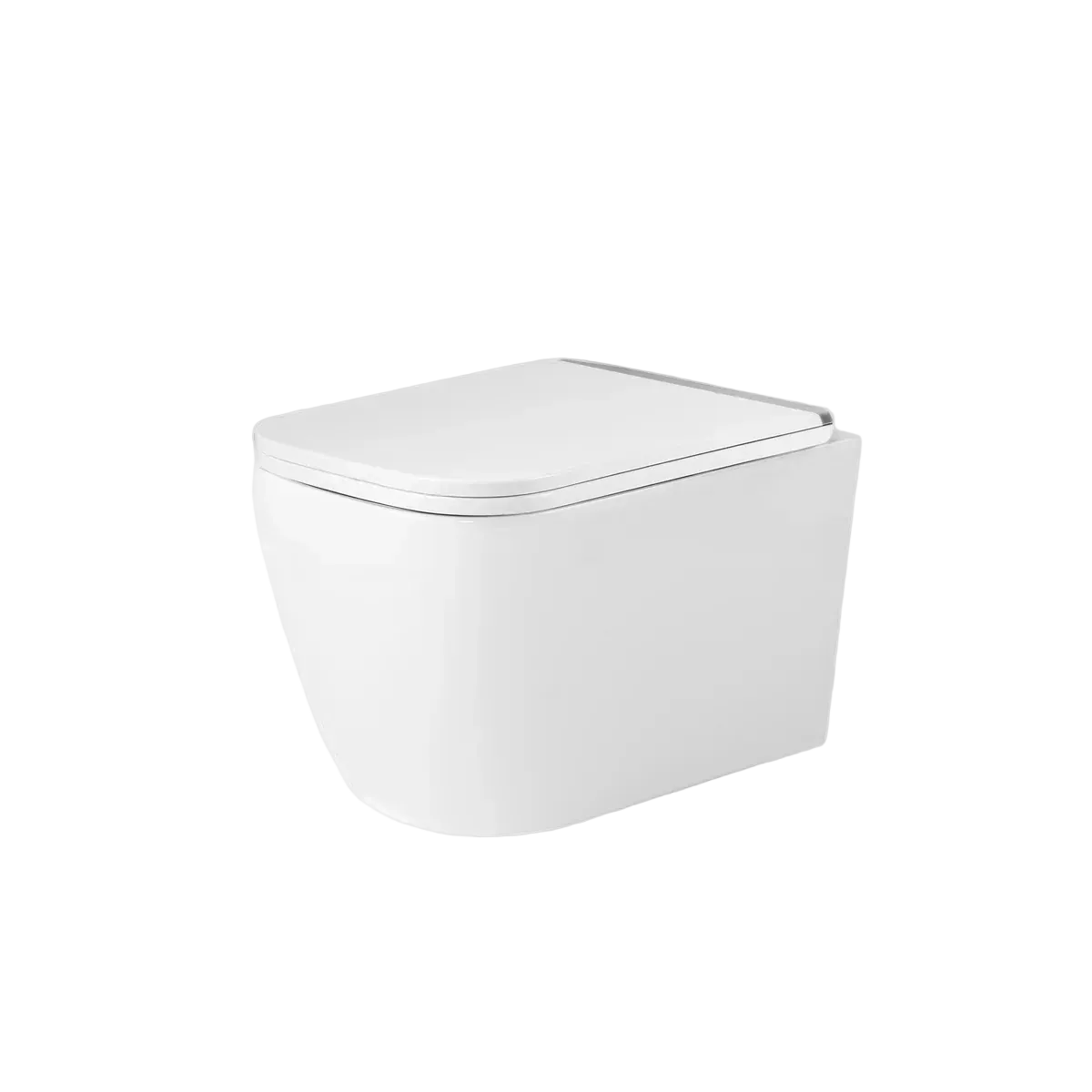 Savoy white wall hung rimless toilet chrome accent