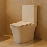 Pinnacle Close Coupled white Toilet open back pan