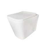Pinnacle White back to wall rimless toilet