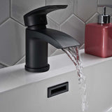 Belini Mini Mono Basin Mixer with Push Waste