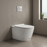 Bliss white Tankless back to wall rimless toilet