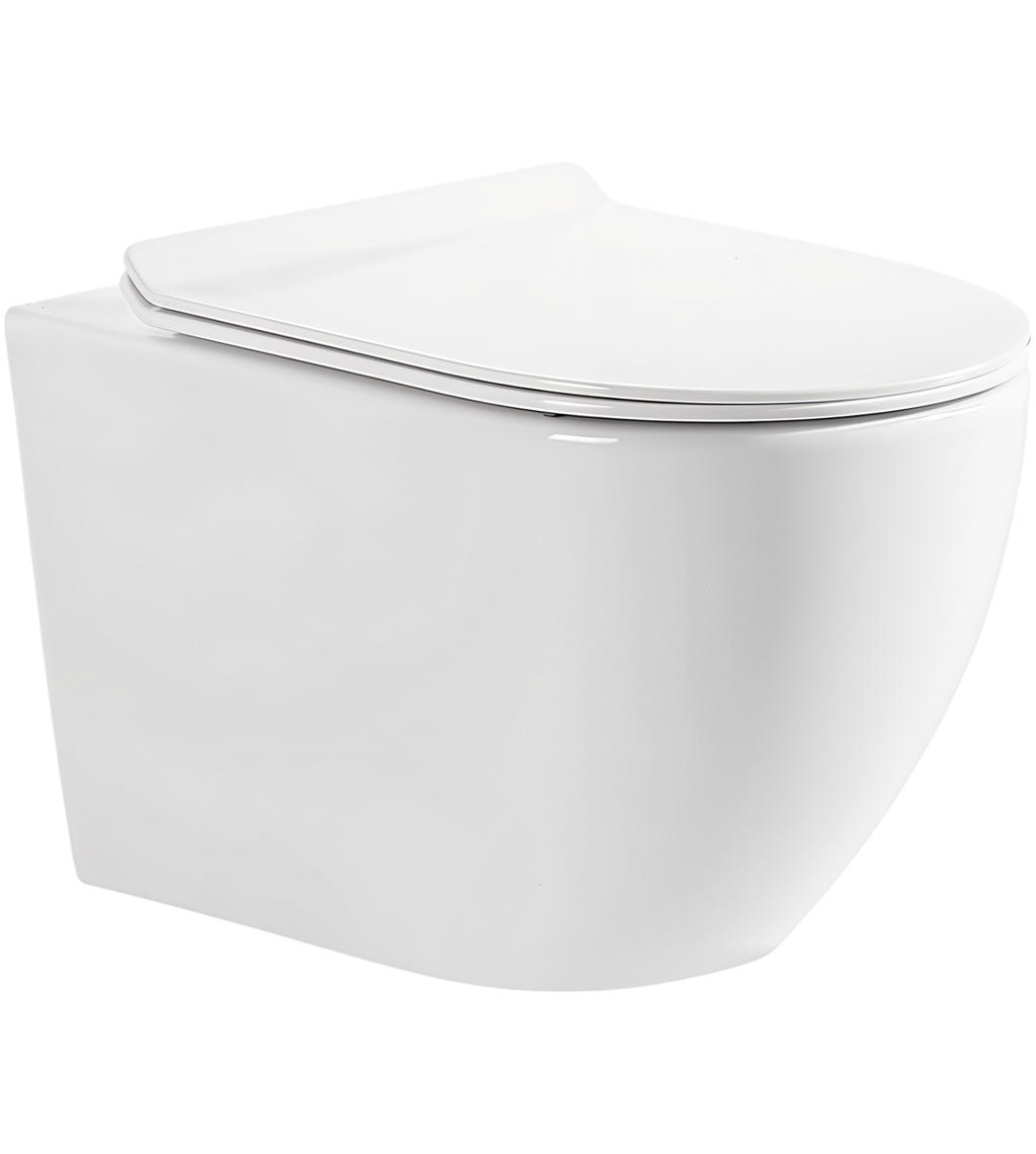 Cistern and White Wall Hung Toilet Set