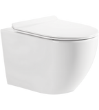 Cistern and White Wall Hung Toilet Set