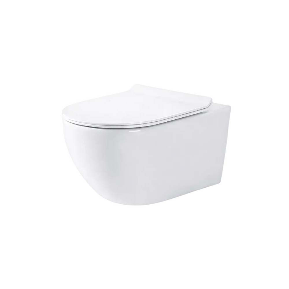 Grohe cistern frame and white wall hung rimless toilet