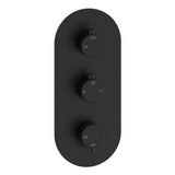 Two Outlet Thermostatic Shower Pack - 3 valve control - hand rail