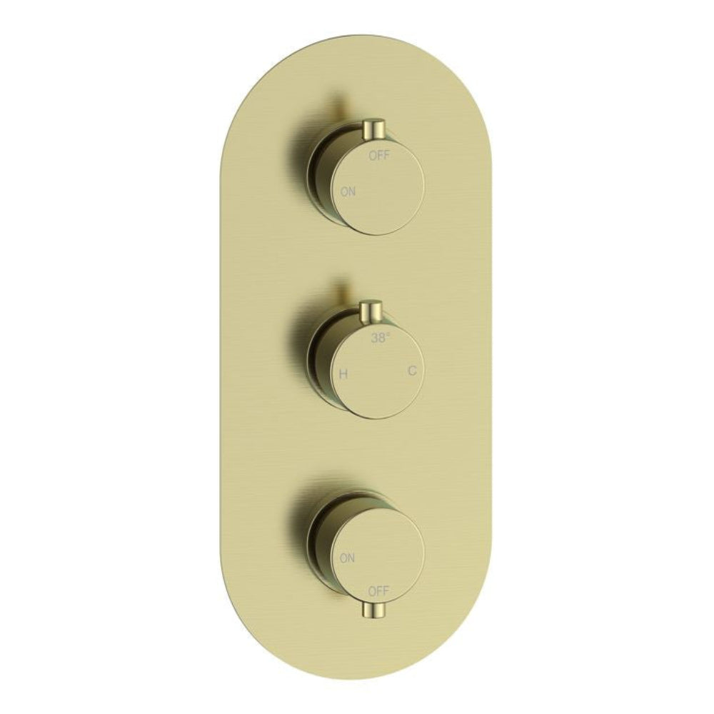 Two Outlet Thermostatic Shower Pack - 3 valve control - hand rail