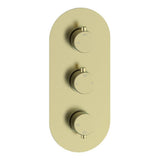 Two Outlet Thermostatic Shower Pack - 3 valve control - hand rail