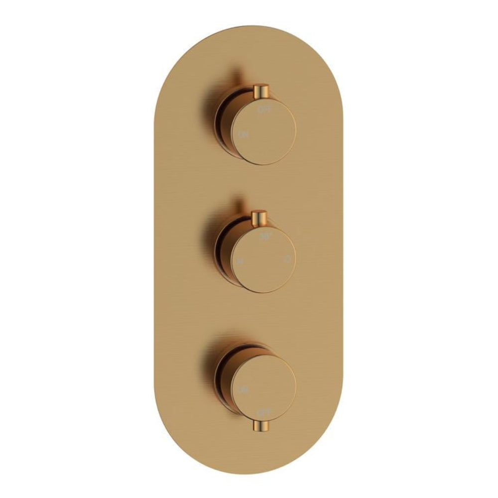 Two Outlet Thermostatic Shower Pack - 3 valve control - hand rail