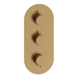 Two Outlet Thermostatic Shower Pack - 3 valve control - hand rail