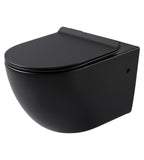 Cistern and Black Wall Hung Toilet Set