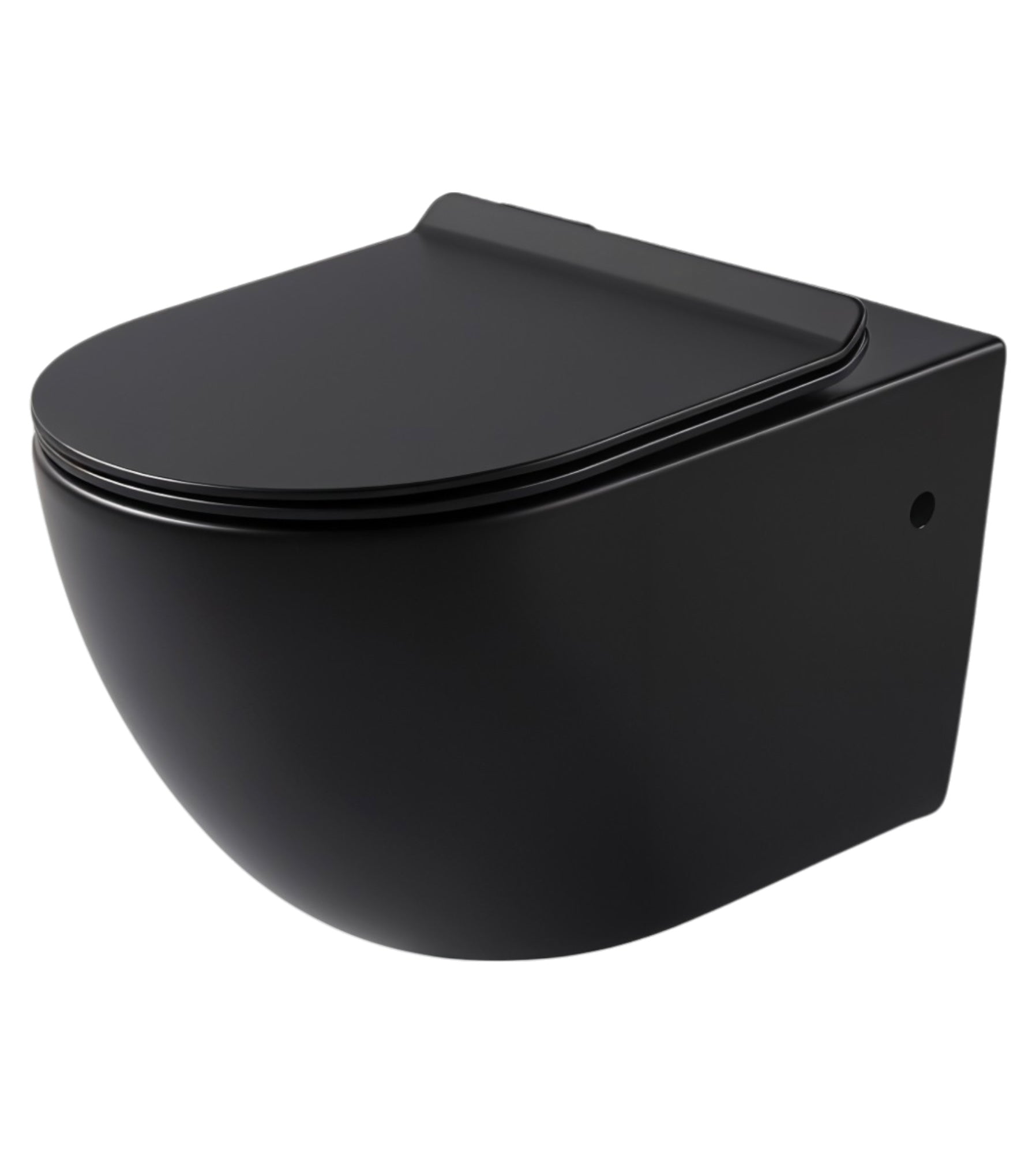 Cistern and Black Wall Hung Toilet Set