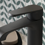 Montana Mono Basin Mixer