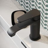 Montana Mono Basin Mixer
