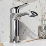 Montana Mono Basin Mixer