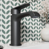 Montana Mono Basin Mixer
