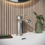 Montana Mono Basin Mixer