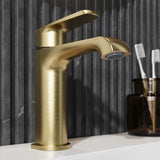 Montana Mono Basin Mixer