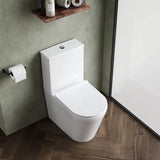 nuie Fenton Close Coupled Toilet