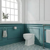 nuie Richmond Traditional Back to Wall Toilet Pan