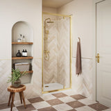 Classix Pivot Door