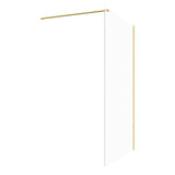 Iconix Wetroom Panel & Support Bar