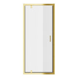 Classix Pivot Door