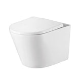 Synergy Angel Wall Hung Pan
