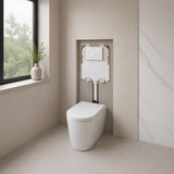 Concealed Toilet Cistern with White Flush Plate