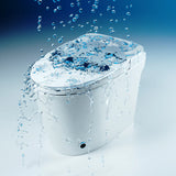 Kiyo - The Ultimate Smart Toilet for Modern Living