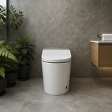 Kiyo - The Ultimate Smart Toilet for Modern Living