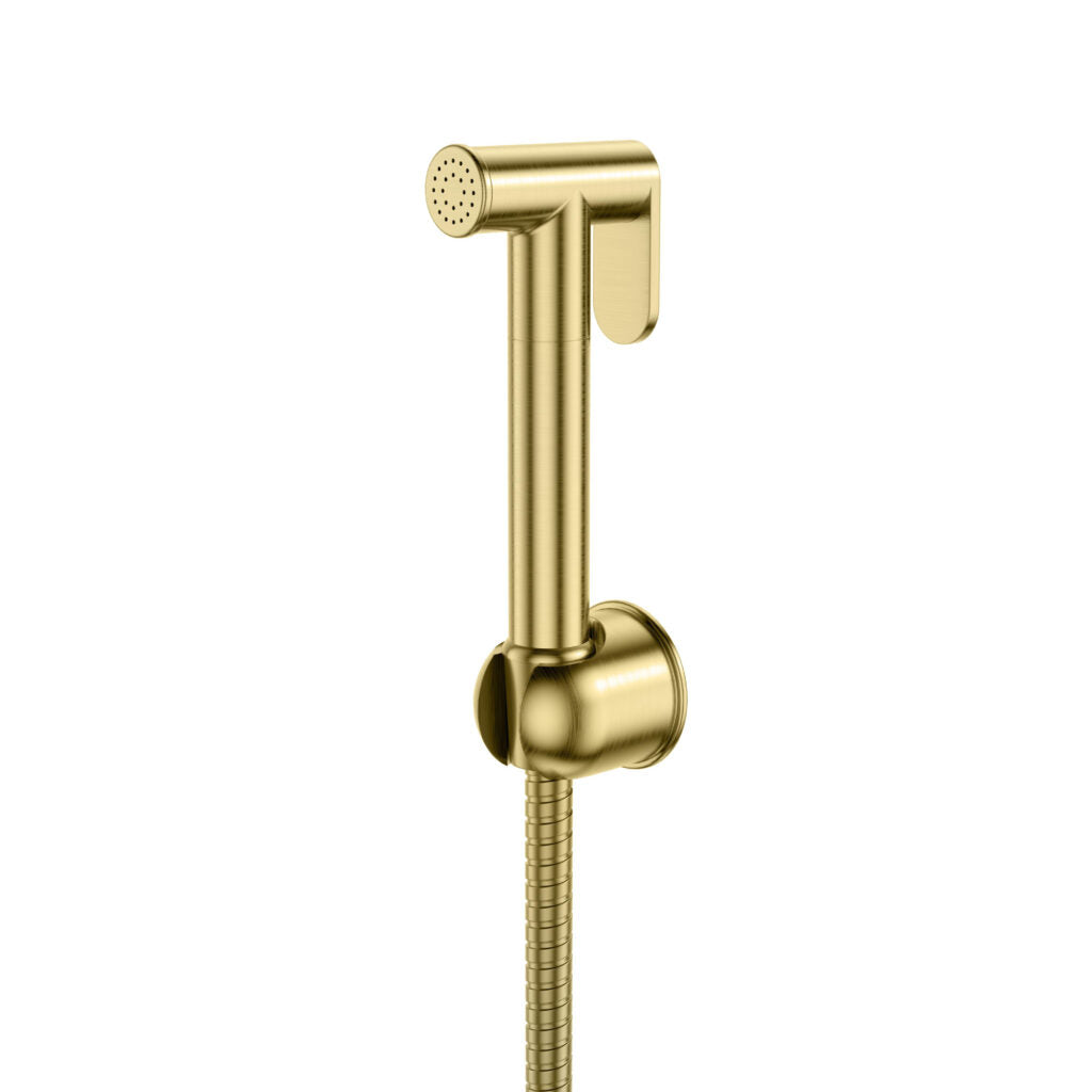 Douche Handset, Flexi and Holder