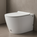 Bliss white Tankless back to wall rimless toilet