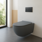 Apex Grey Wall Hung Toilet - Including Toilet Seat