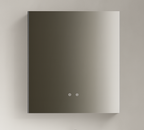 VITA MIRROR CABINET 550MM X 700MM